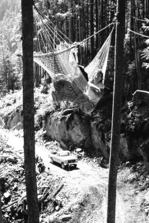 In 1988 during the campaign to stop Fletcher Challenge from building a logging road in Sulphur Passage, protesters strung hammocks and suspended themselves above areas where road builders planned to blast.